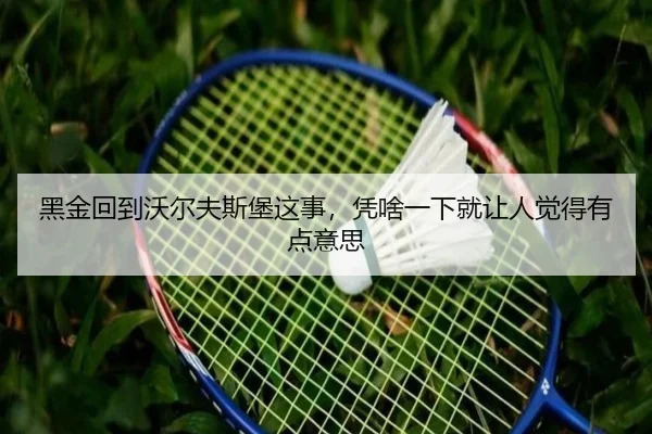 黑金回到沃尔夫斯堡这事，凭啥一下就让人觉得有点意思（kaiyun）