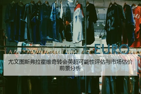 尤文图斯弗拉霍维奇转会英超可能性评估与市场估价前景分析