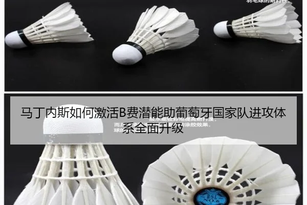 ma-ding-nei-si-ru-he-ji-huo-fei-qian-neng-zhu-pu-tao-ya-guo-jia-dui-jin-gong-ti-xi-quan-mian-sheng-ji-2-234.jpg